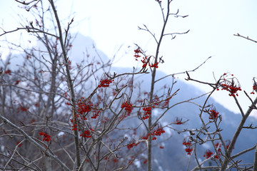 泰山风光 泰山山脉