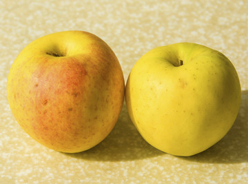 两个黄元帅苹果