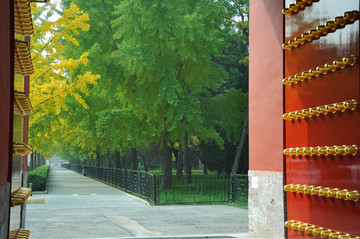 古都秋色之北京地坛公园