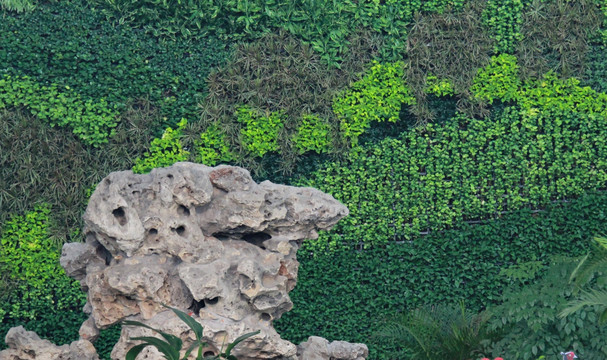 太湖石和绿植屏
