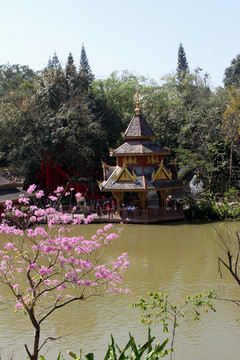 曼听花园