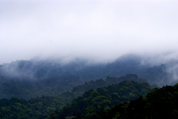 大山春天早雾