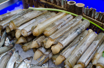 海鲜自助餐 竹蛏