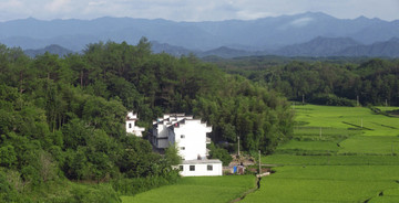 乡村美景