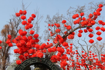 灯笼