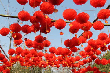 灯笼
