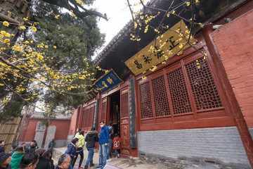 洛阳白马寺