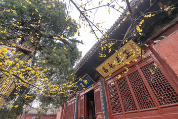 洛阳白马寺