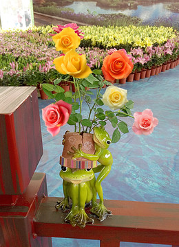 青蛙花瓶玫瑰