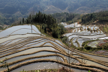 元阳梯田