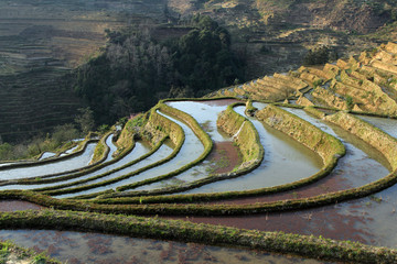 元阳梯田