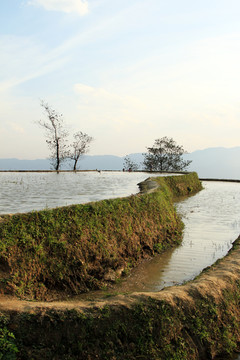 元阳梯田