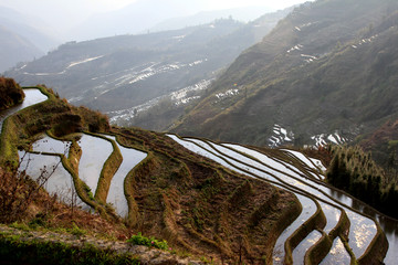 元阳梯田