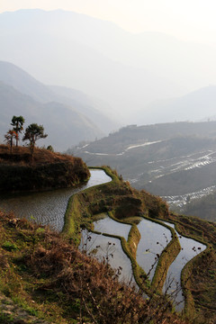 元阳梯田