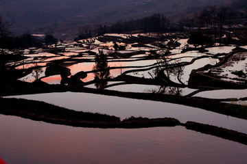 元阳梯田