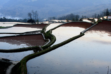 元阳梯田