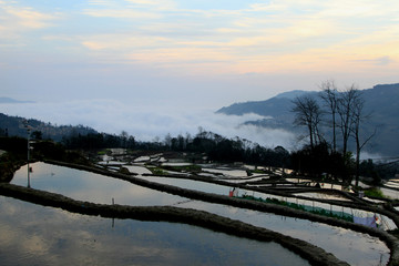 元阳梯田