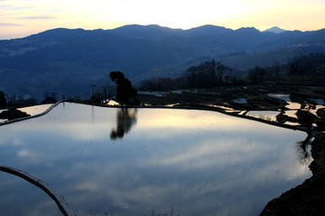 元阳梯田
