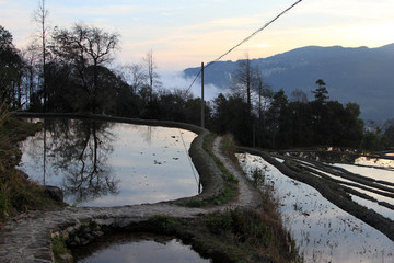 元阳梯田