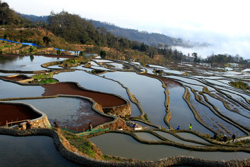 元阳梯田