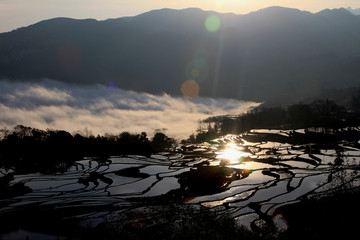 元阳梯田