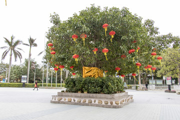 深圳小梅沙海洋世界广场