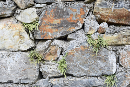 石砖路 石砖墙