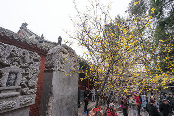 洛阳白马寺