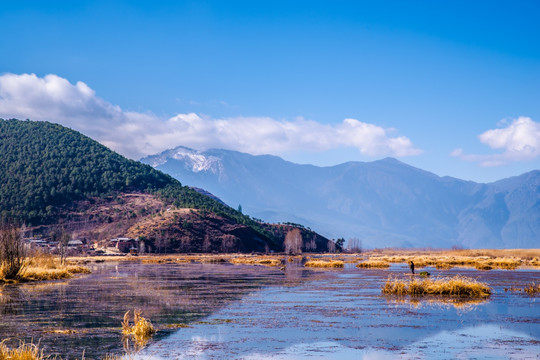 泸沽湖草海湿地