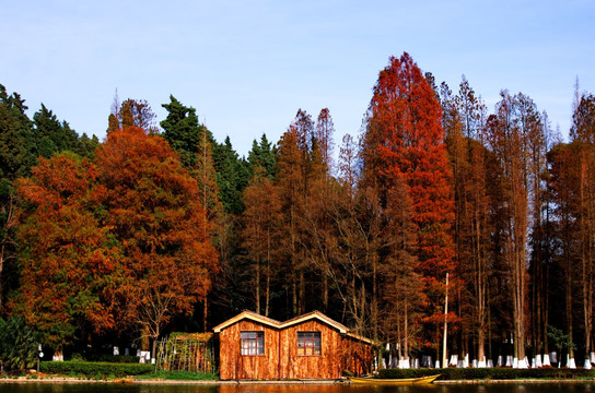 森林小木屋