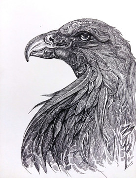 手绘钢笔画 鹰