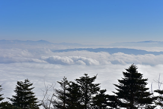 螺髻山 云海 柏林