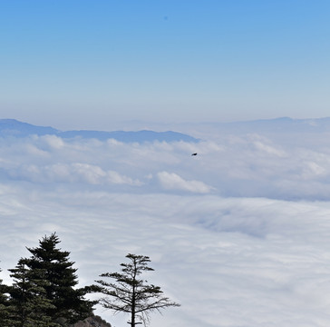 螺髻山 云海 飞鸟