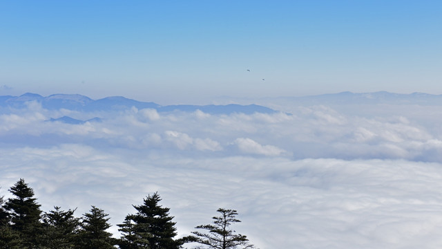 螺髻山 云海