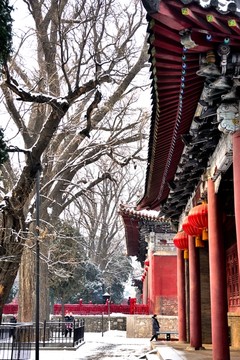 岱庙雪景