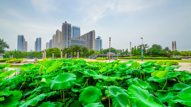 水边都市建筑群 绿化 水面倒影