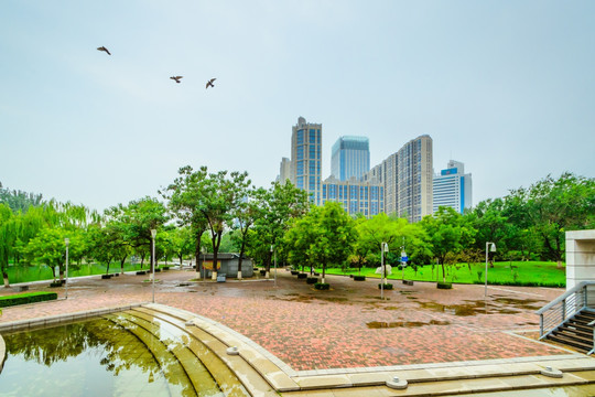 都市建筑群 绿化 水面倒影