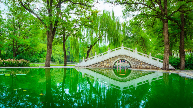蓝天白云 绿树 池水
