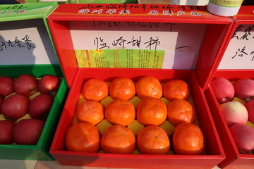 临崎柿子