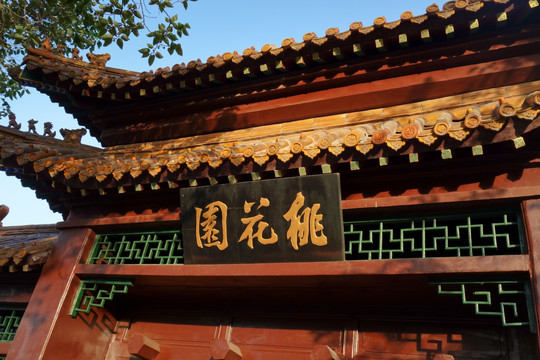 天津桃花堤 桃花园