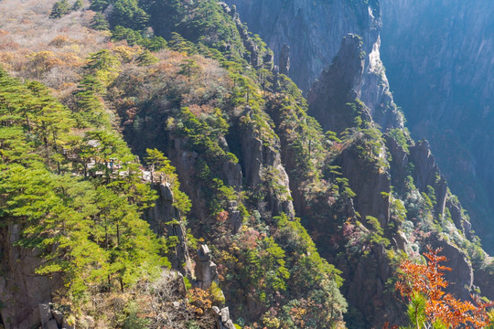 黄山