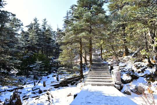 螺髻山 雪山