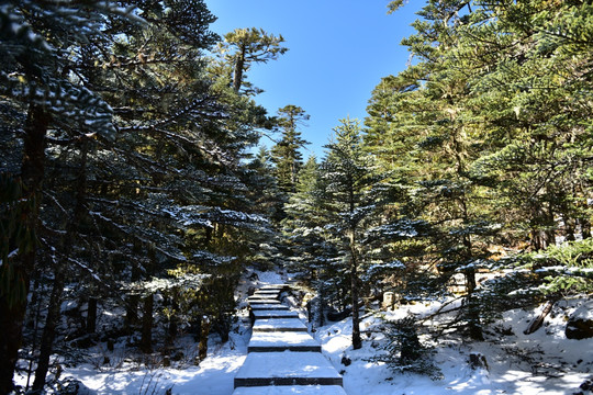 螺髻山 雪山