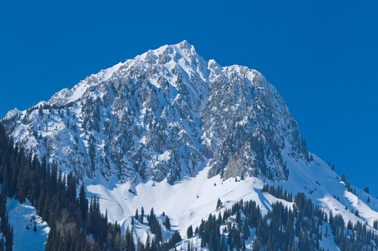 天山雪