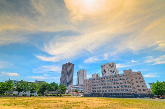 都市建筑群 绿化