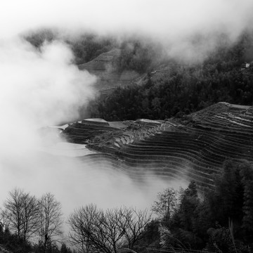 龙脊梯田