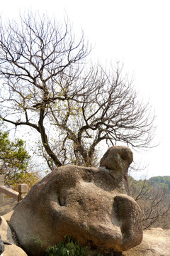 苏州灵岩山 龟石