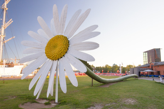 芬兰图尔库城市花卉雕塑