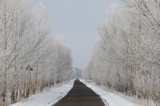 雾淞 冰凌 雪景 东北 灯笼