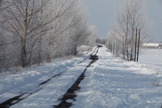 雾淞 冰凌 雪景 东北 灯笼